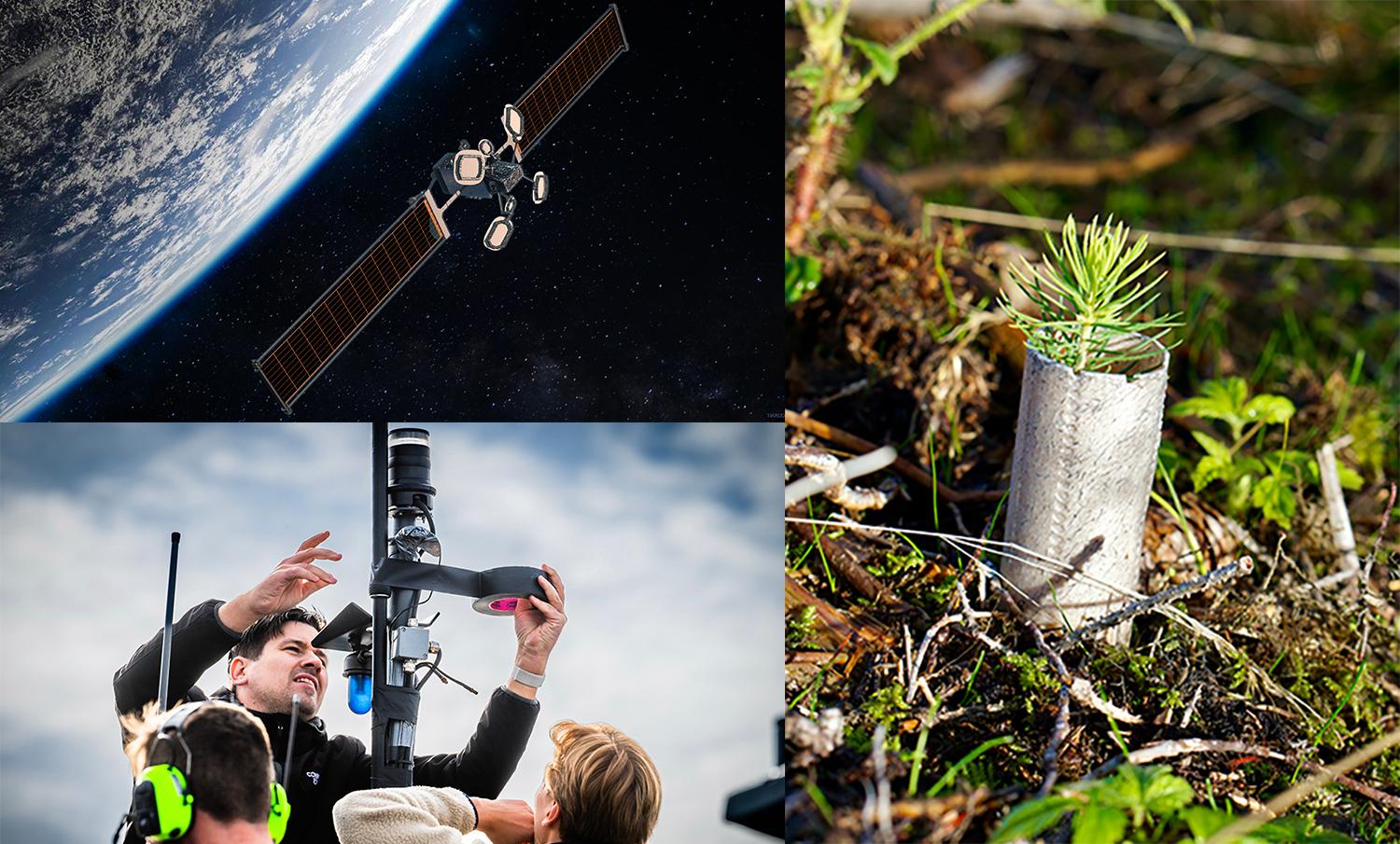 A satellite, researchers and a fern sprout in a tube.