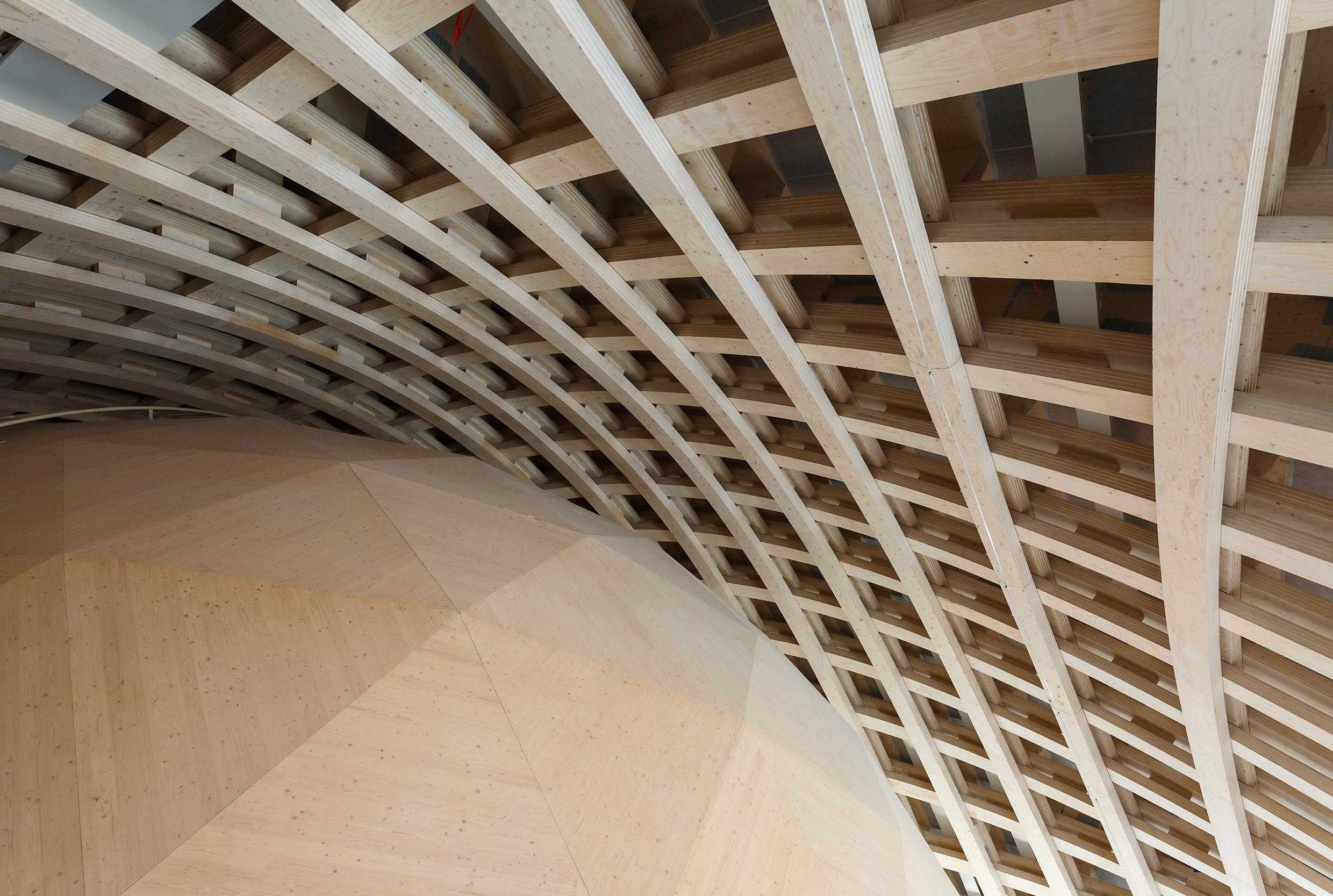 The rounded ceiling of a wood dome.