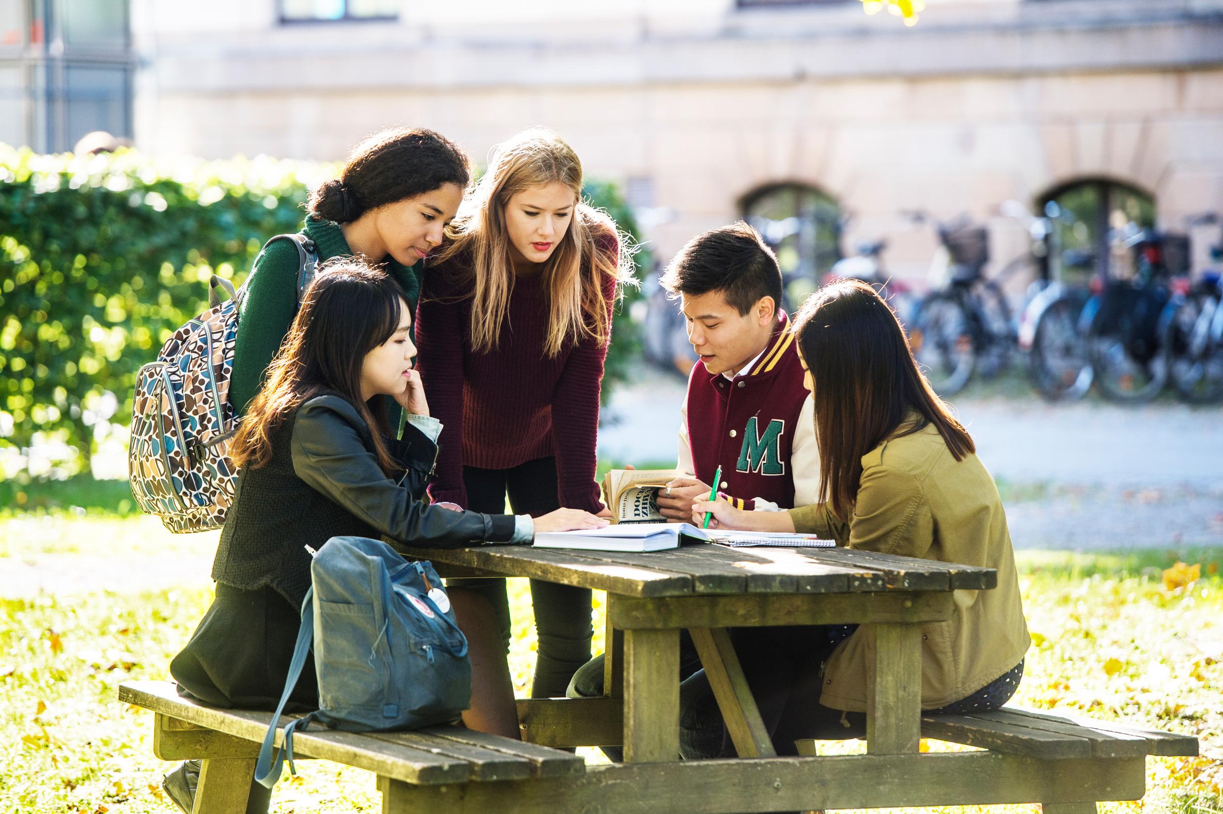 Students studying together outdoors in autumn.