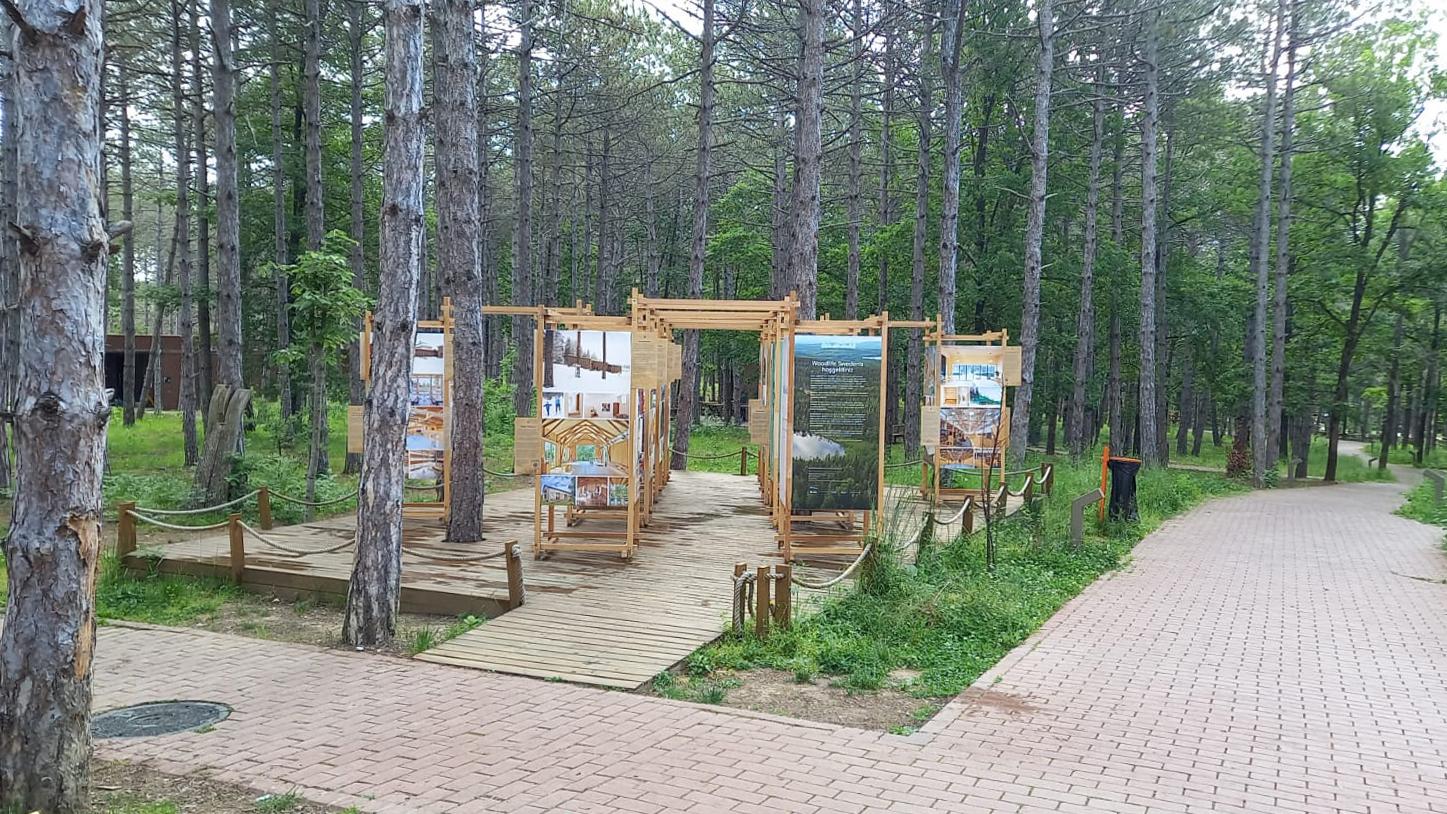 The Woodlife exhibition in a park area in Türkiye.