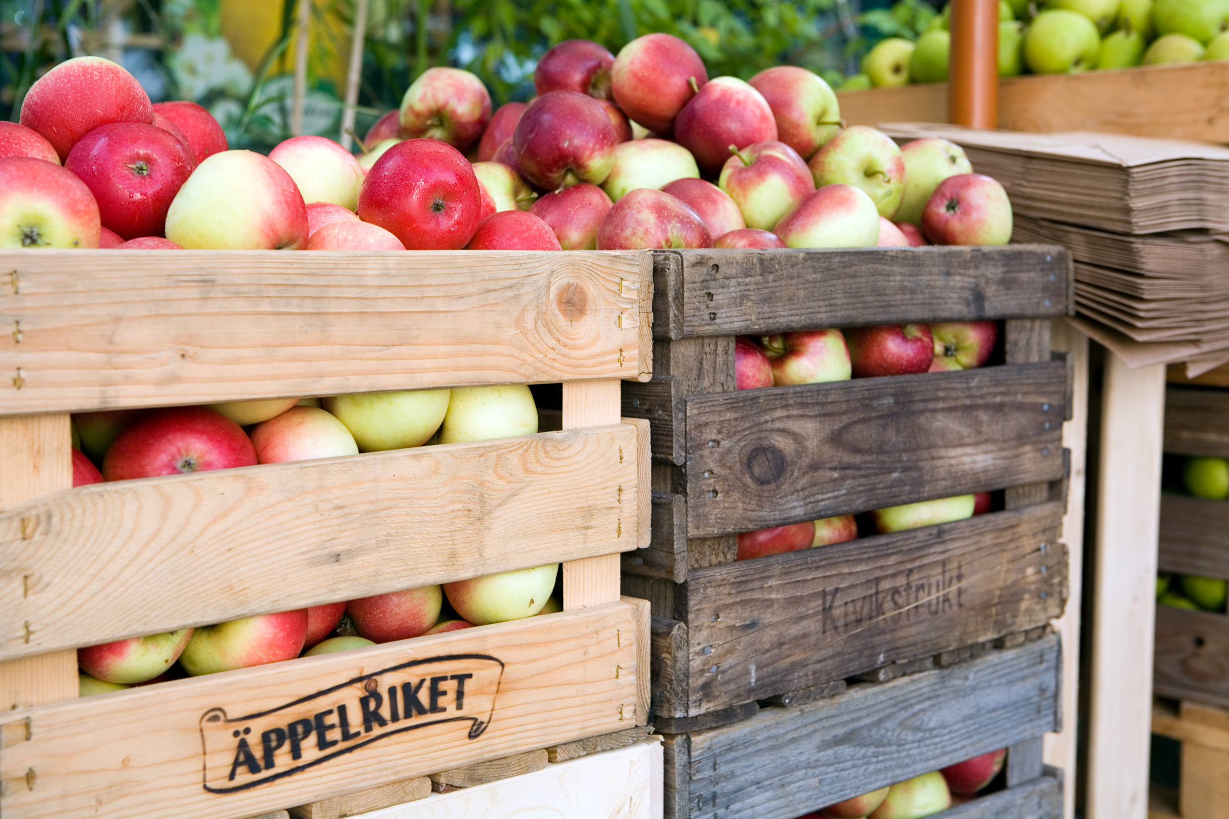 Fruit and vegetable farm